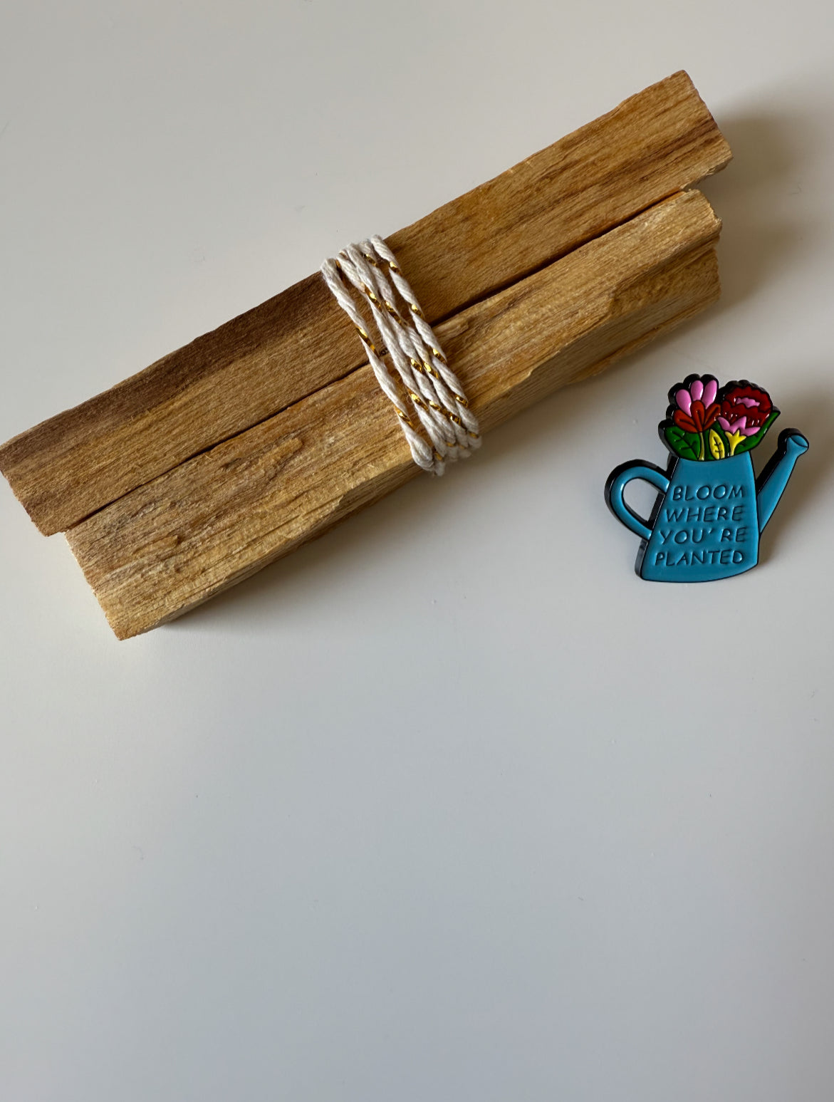 Palo Santo Planter Pin